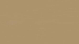 Reflector BRASS