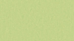 Style Emme MOJITO 755