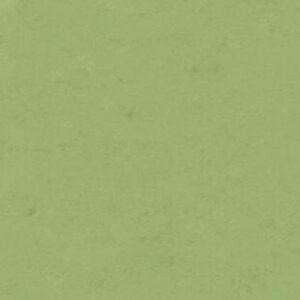 Veneto APPLE GREEN 754