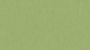 Veneto APPLE GREEN 754