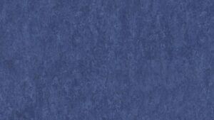 Veneto NAVY 688