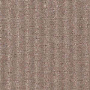 Verso AC13 1708