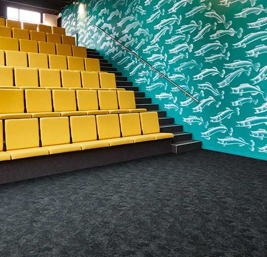 FLOTEX COLOUR