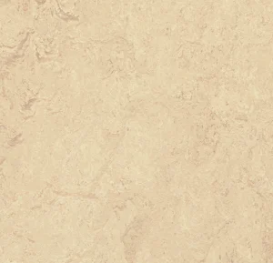 t2713 calico