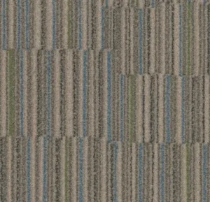t540004 Stratus fossil