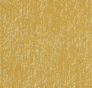 t545030 Canyon sulphur