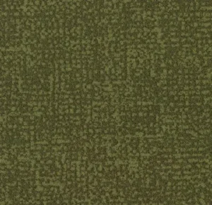 t546021 Metro moss