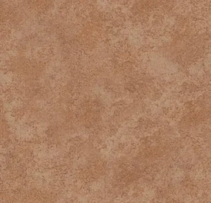 t590013 Calgary caramel