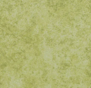 t590014 Calgary lime