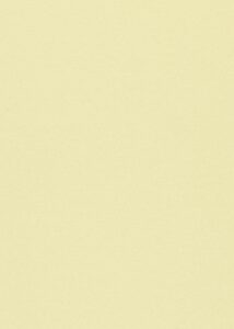 101-043-neutral-beige