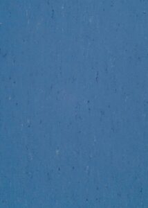 131-004-bluebird