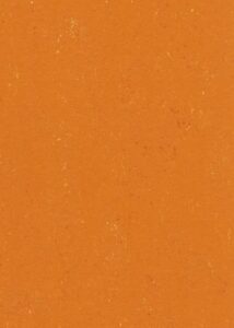 131-170-kumquat-orange