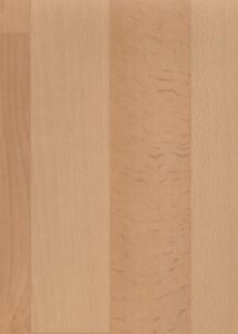 45264 | Maple