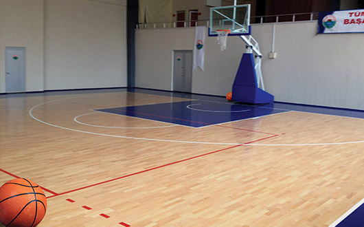 OMNİFLEX COURT