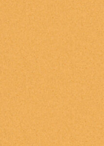 HELENA 15339M | ORANGE