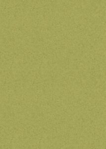HELENA 15559M | LIME GREEN