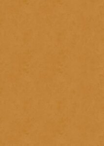 LEAH 34333M | ORANGE