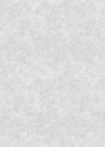LEAH 34620D | SILVER GREY