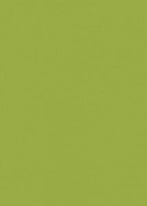 SOLID 35524M | LIME GREEN
