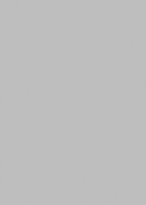 SOLID 35901L | GREIGE